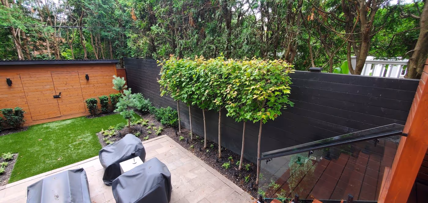 Patio and backyard shed with trees