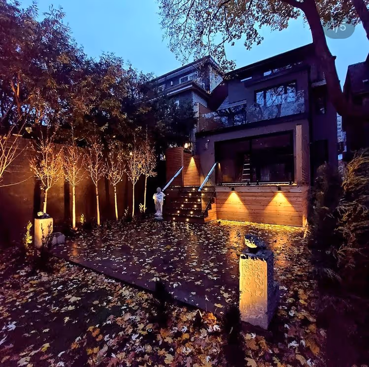 Backyard lighting for safety and highlight backyard features