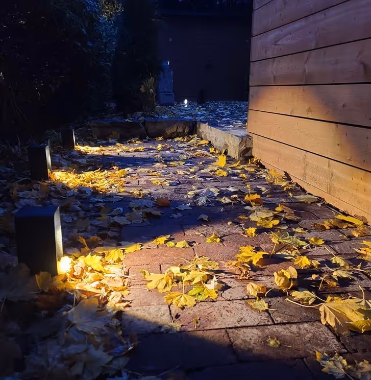 floor landscape lights to provide night access to backyard area