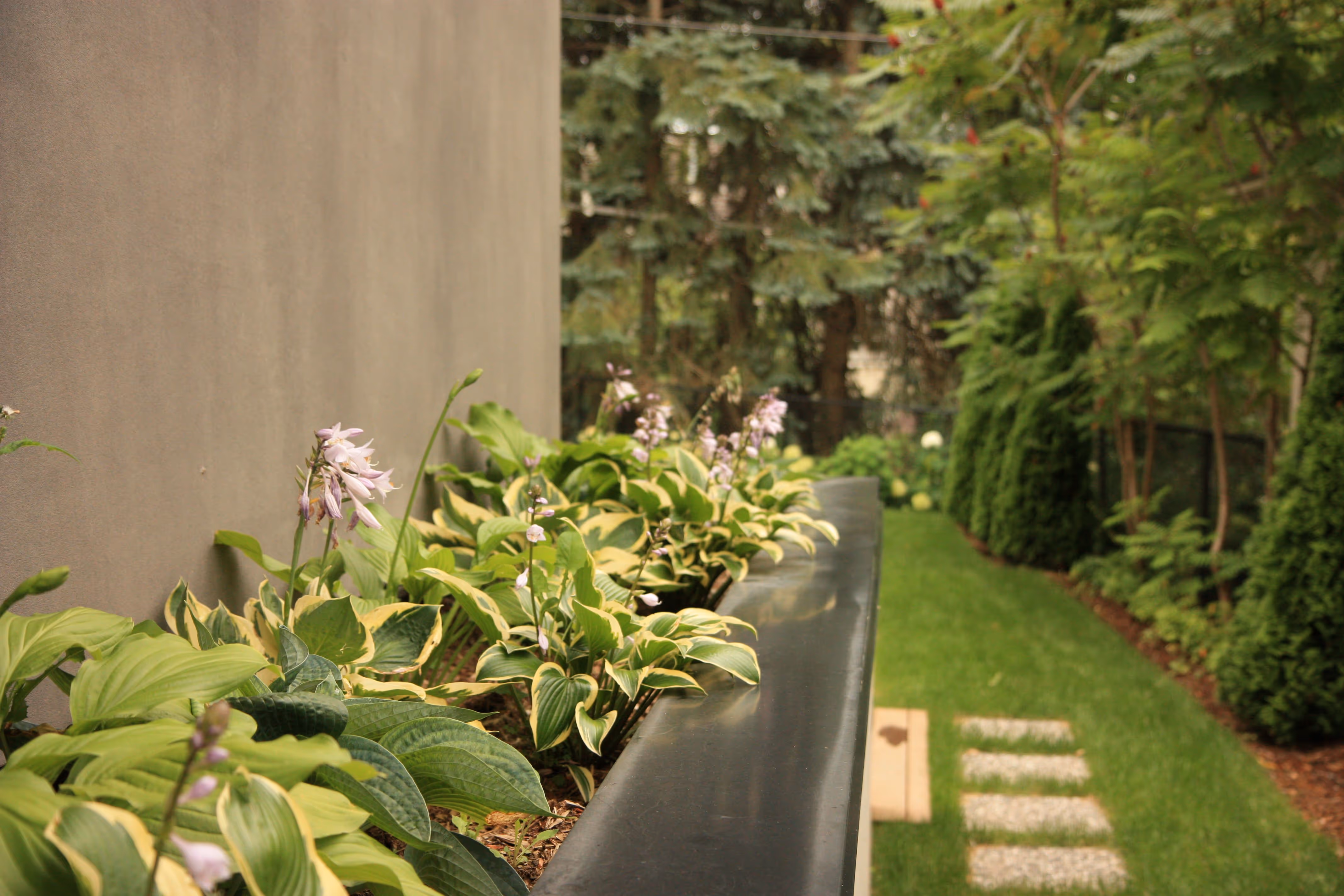Retaining wall / Planter on side of home containing hostas