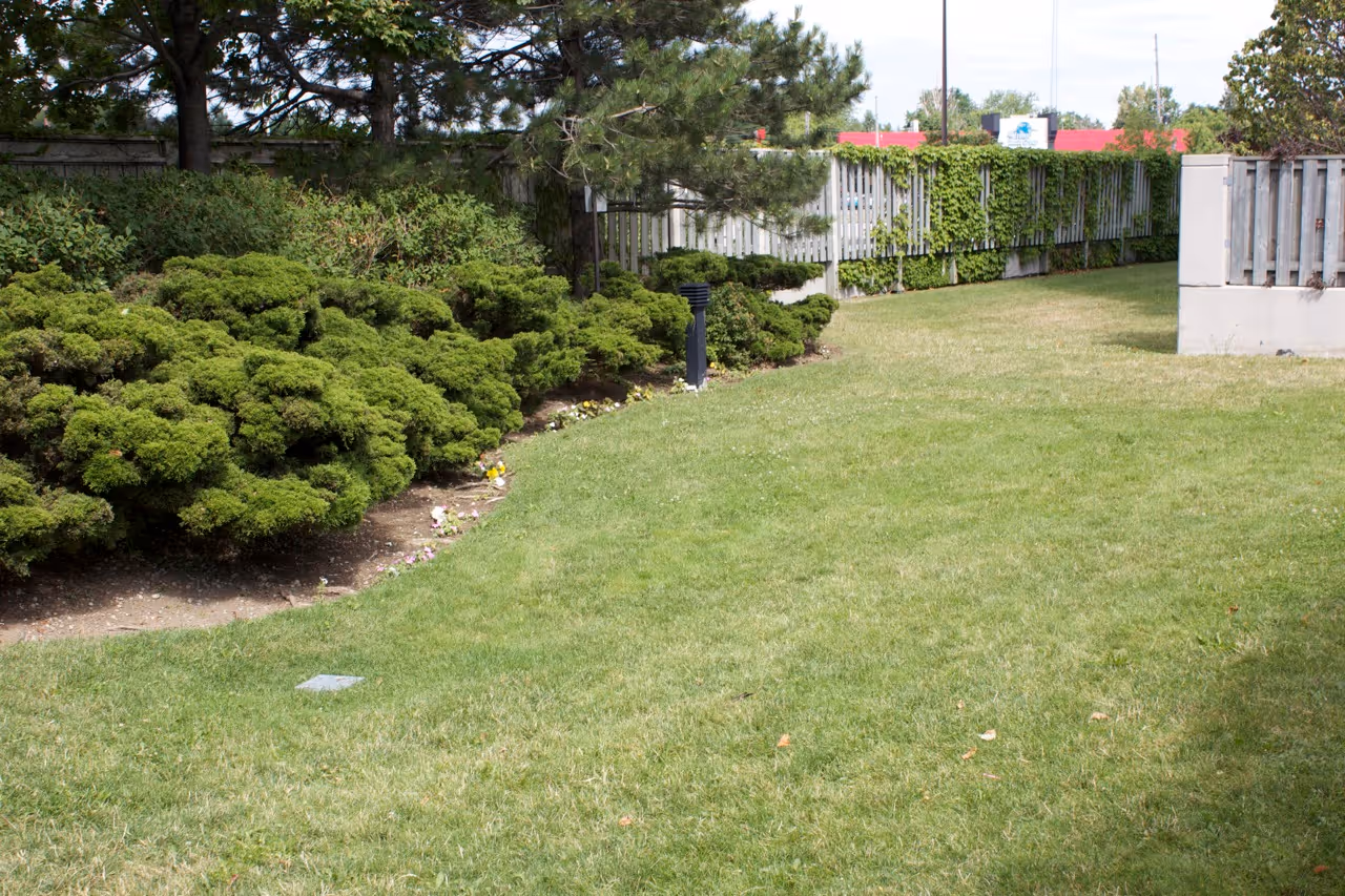 Large Lawn Spaces with shrubs and evergreen plants