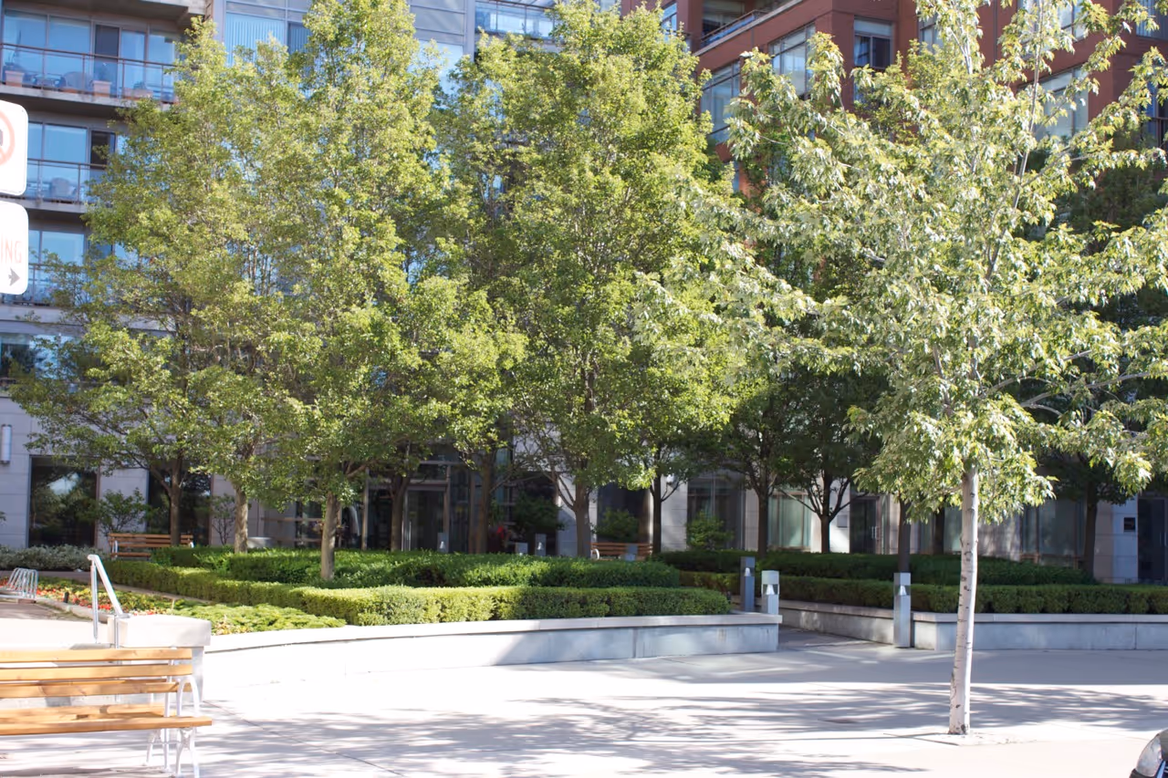 Outdoor commercial lighting around buildings pathway