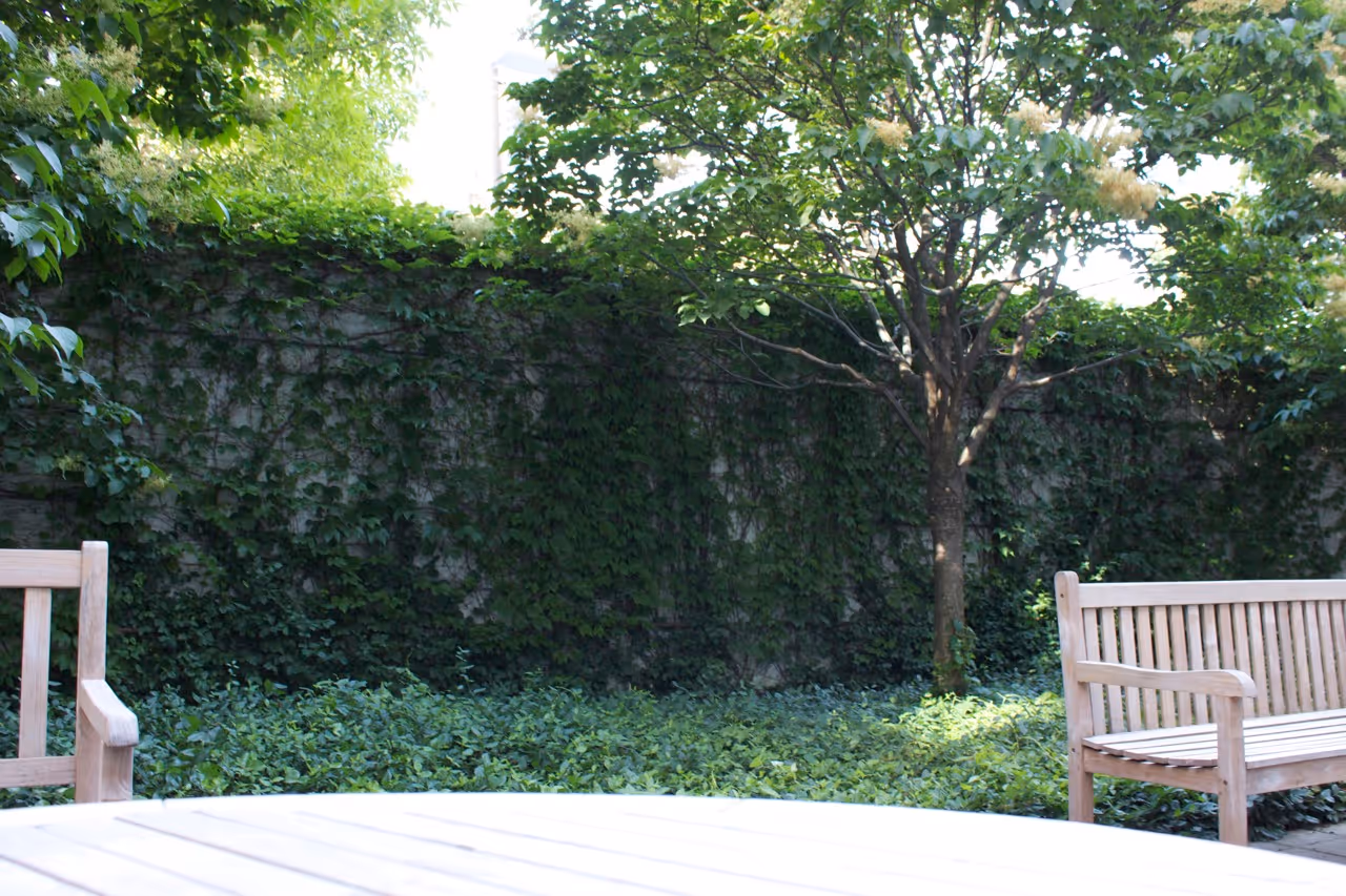 Overgrown ivy on stone wall creates natural feel