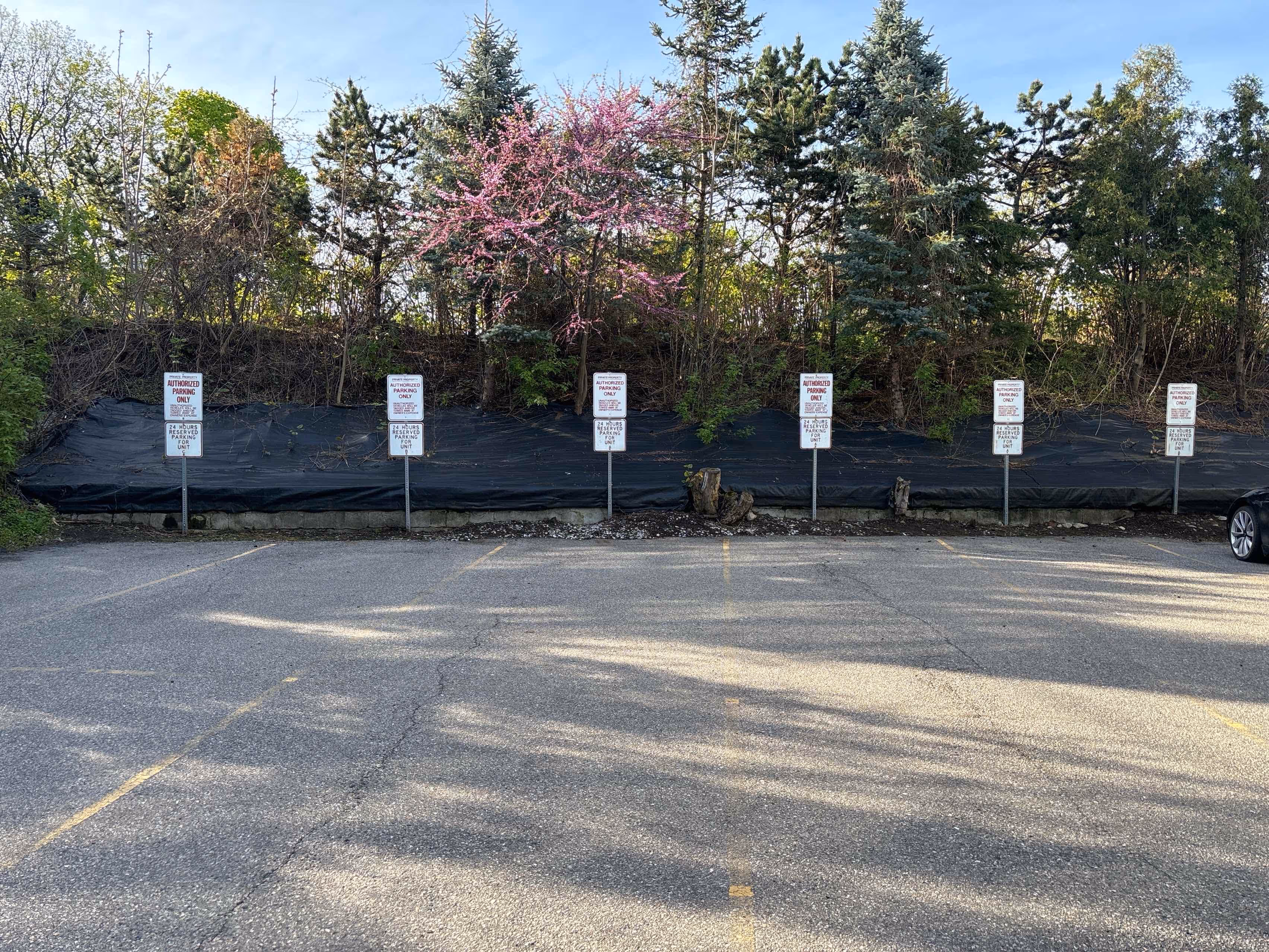 Back Parking lot required to keep it clear in the winter