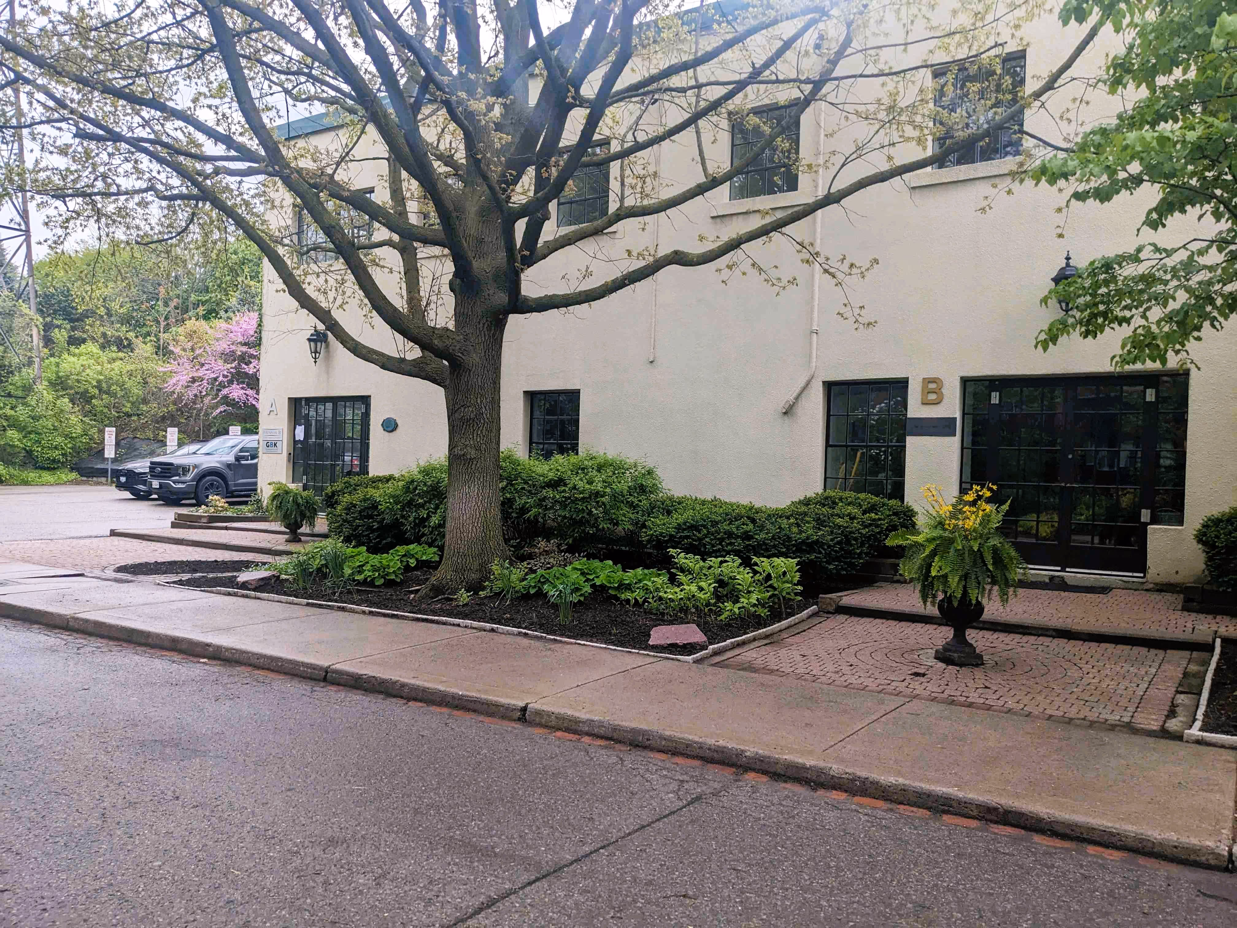 Large tree with beds around it