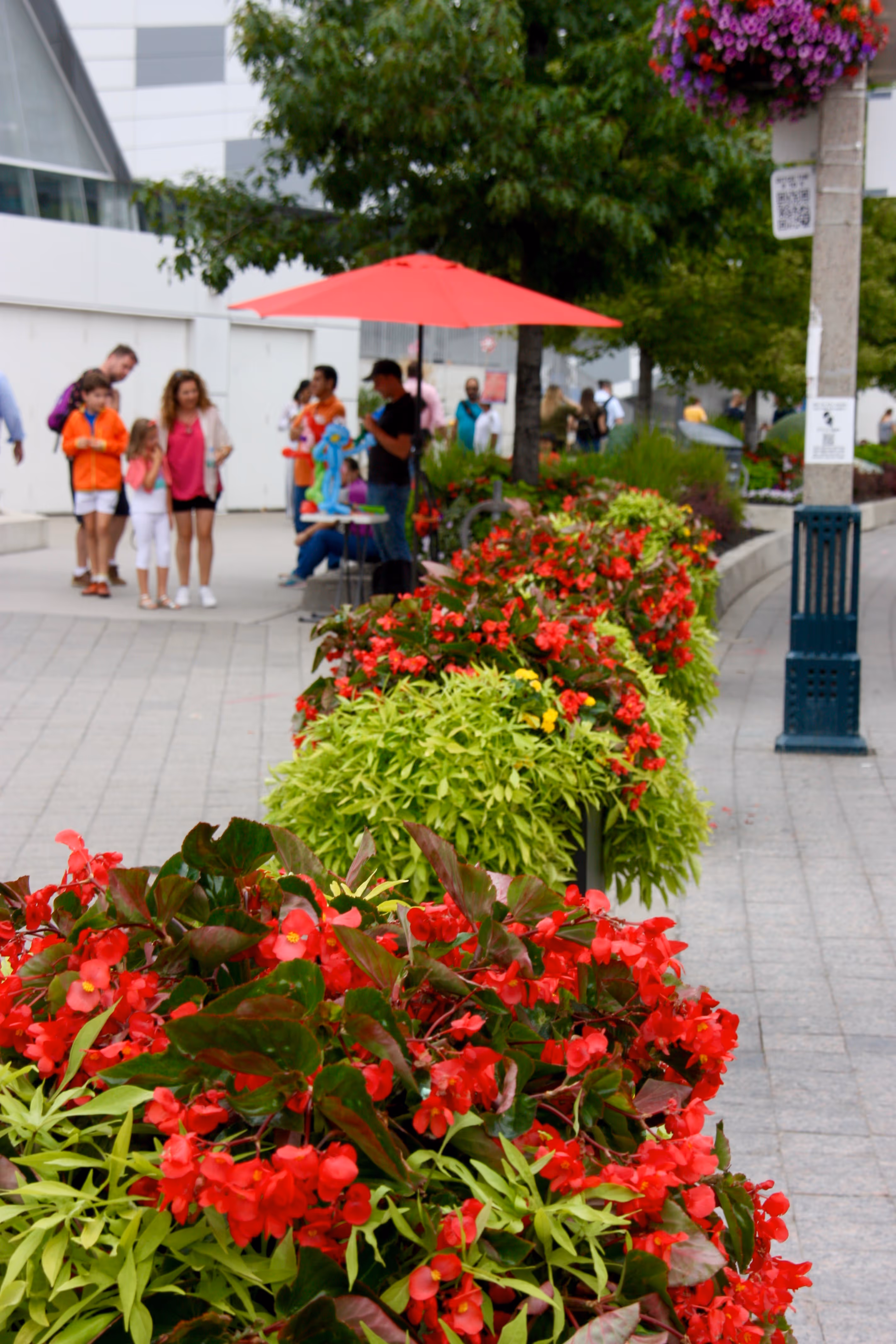 Color matched annuals at downtown location