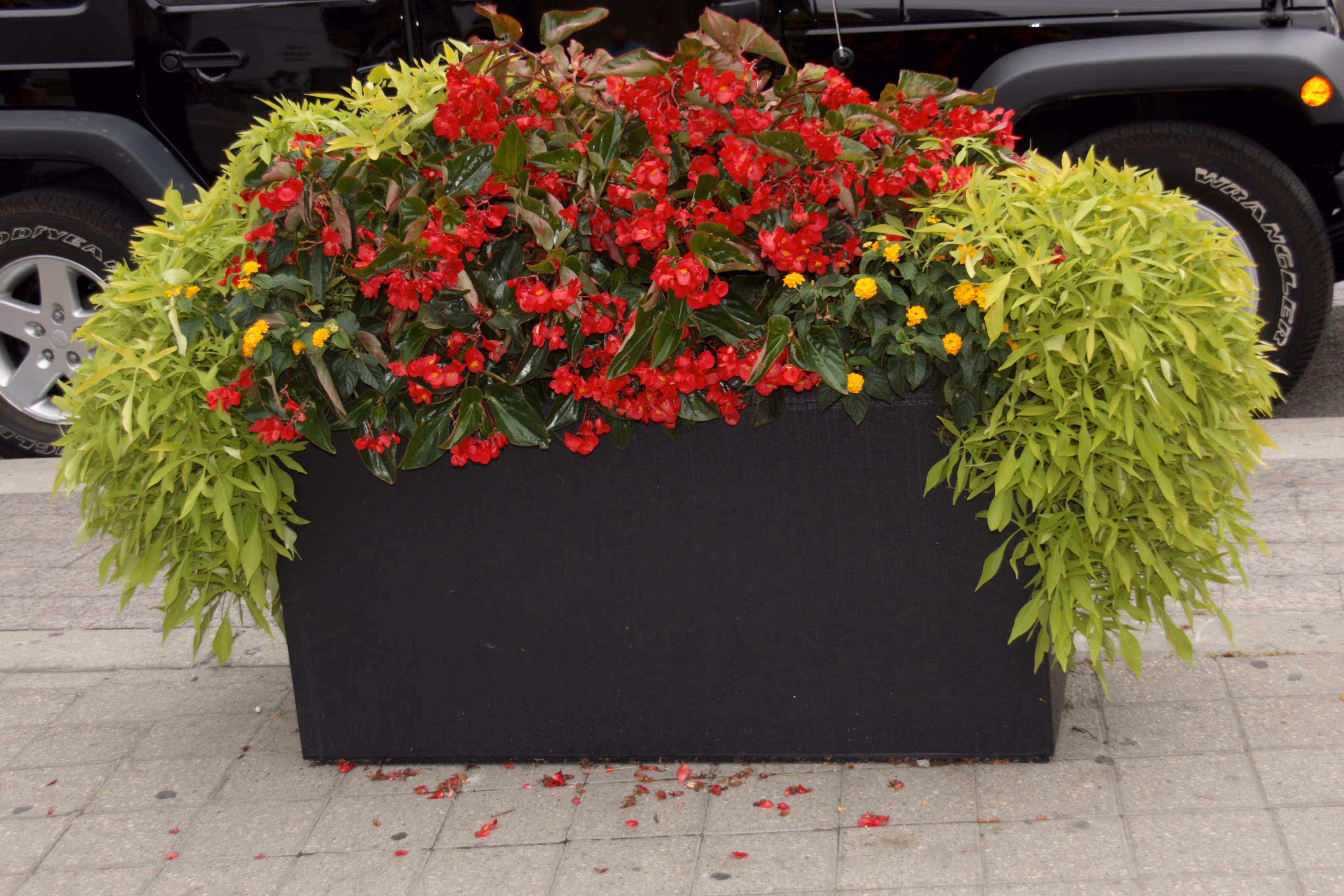 Large planter box filled with annuals