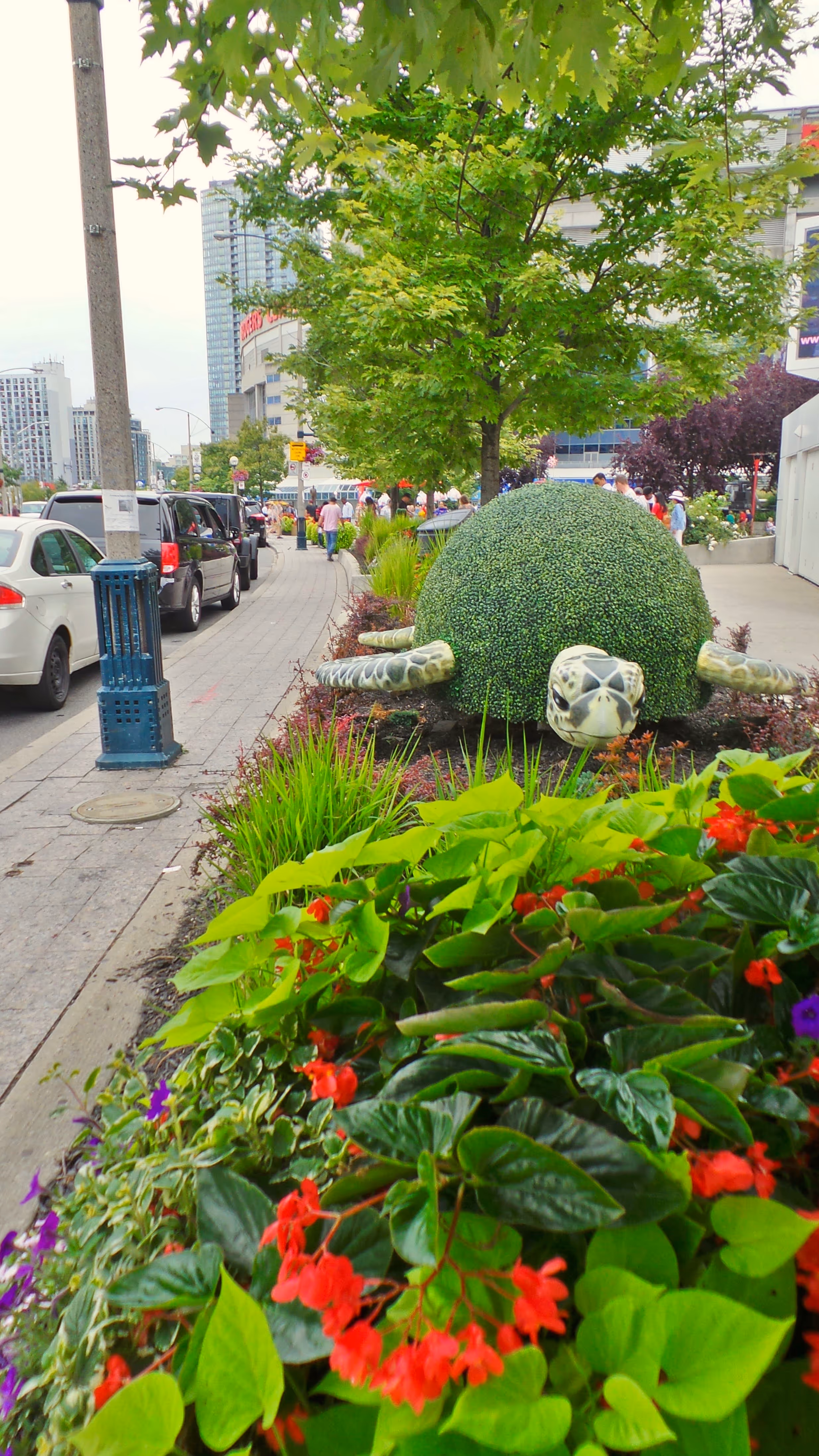 Tree topiary in perennial planted garden beds