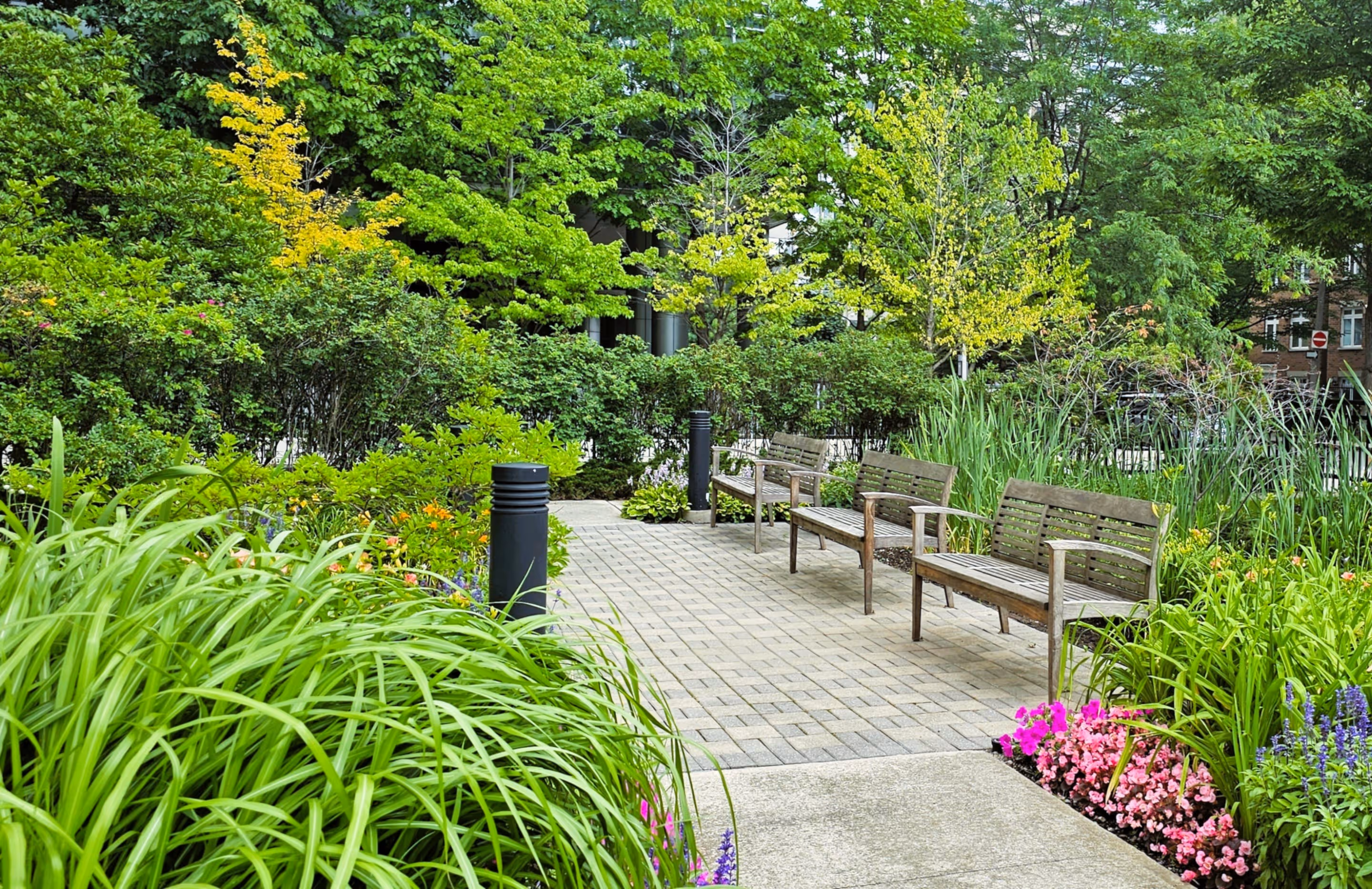 Lawn Spaces