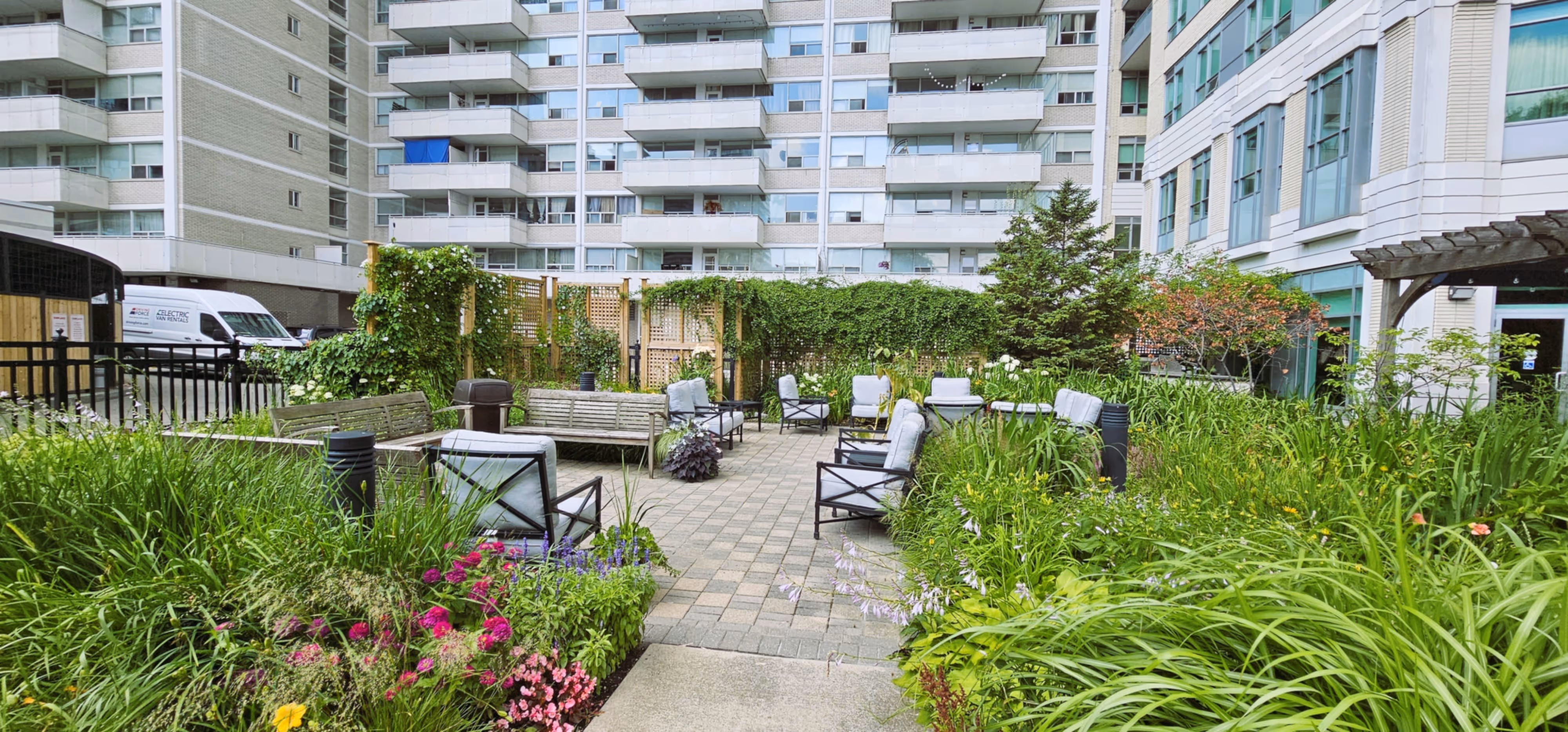 Garden Beds with large grasses 