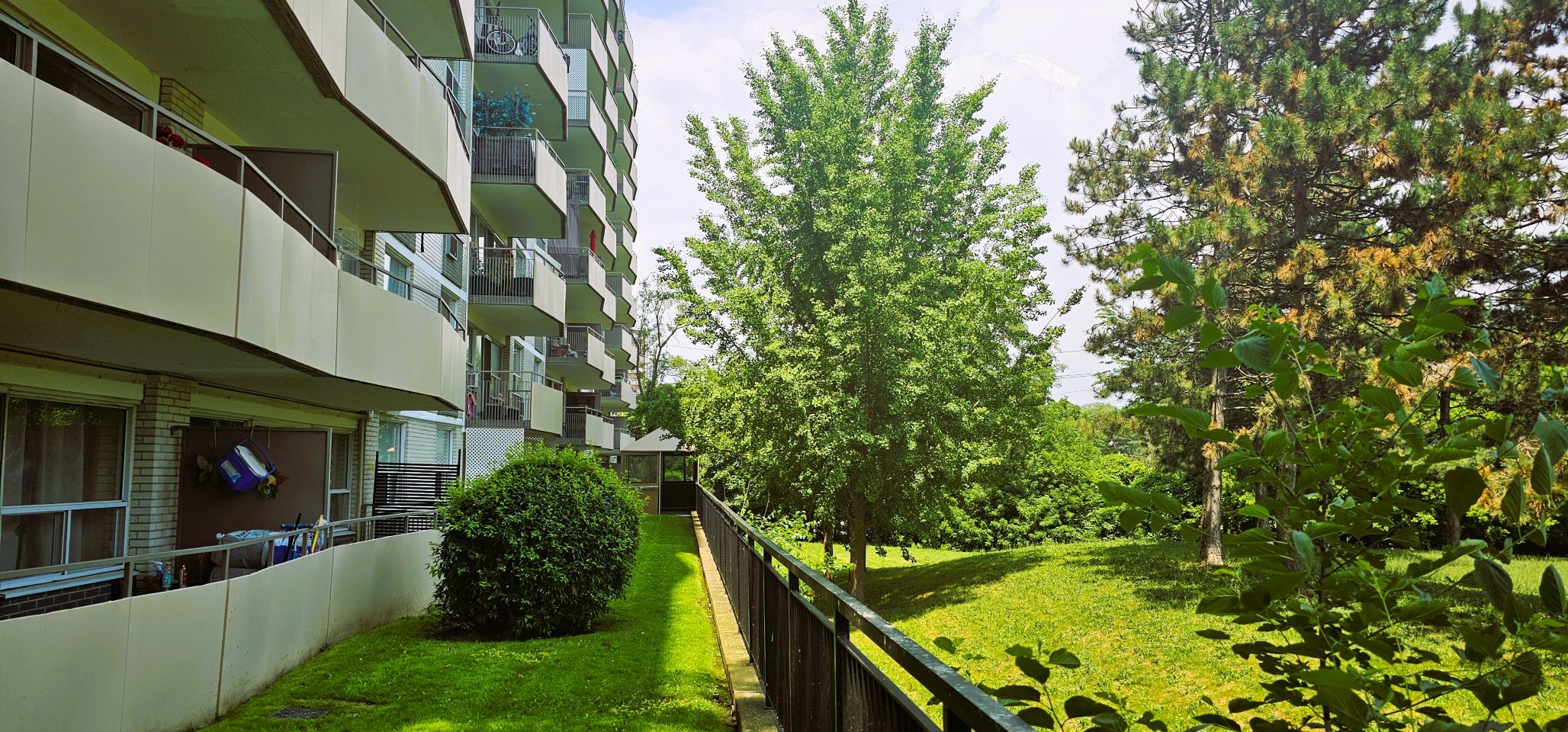 Outdoor Lawn spaces