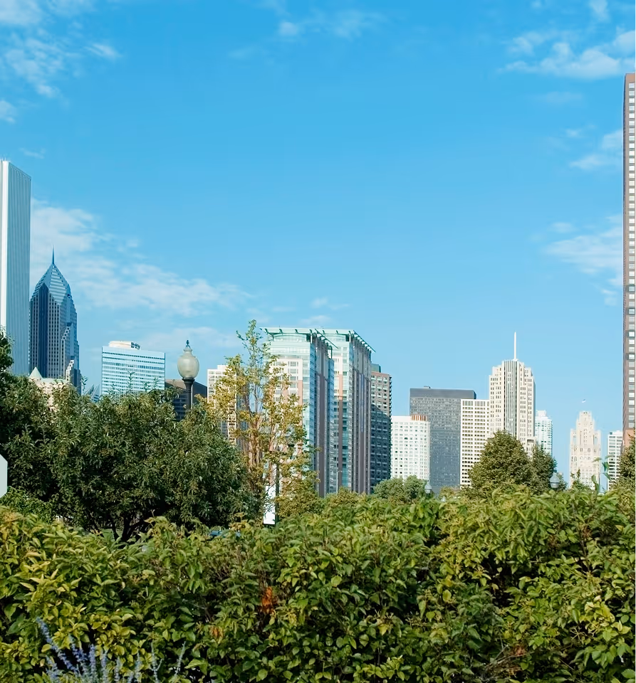 Urban skyline viewed over lush green trees under a partly cloudy blue sky.