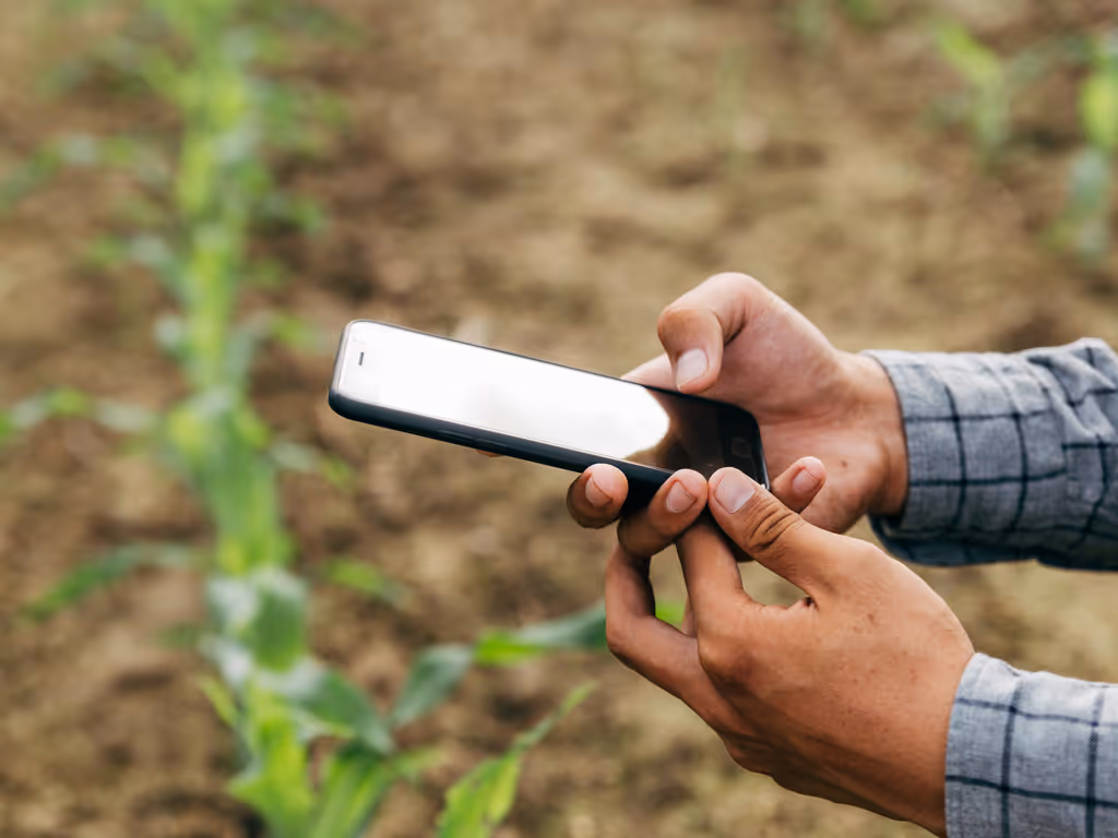 Person holding and using a smartphone in an outdoor field with young green plants.