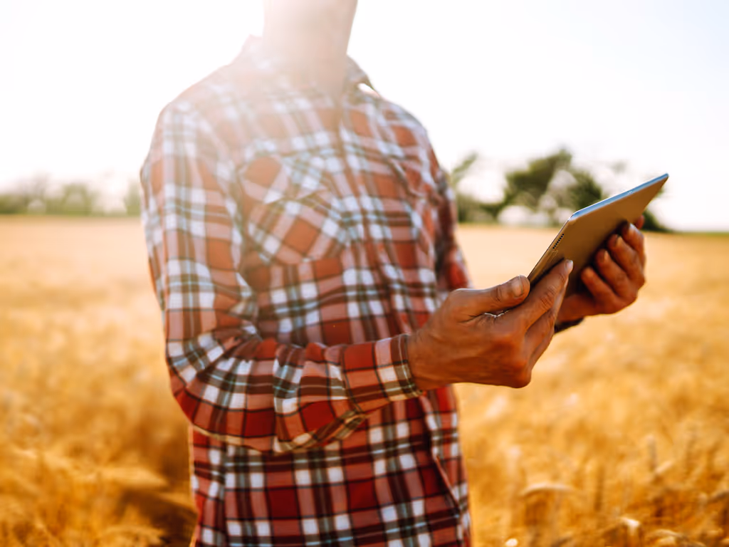 Person in a red plaid shirt holding a tablet in a golden wheat field under bright sunlight.