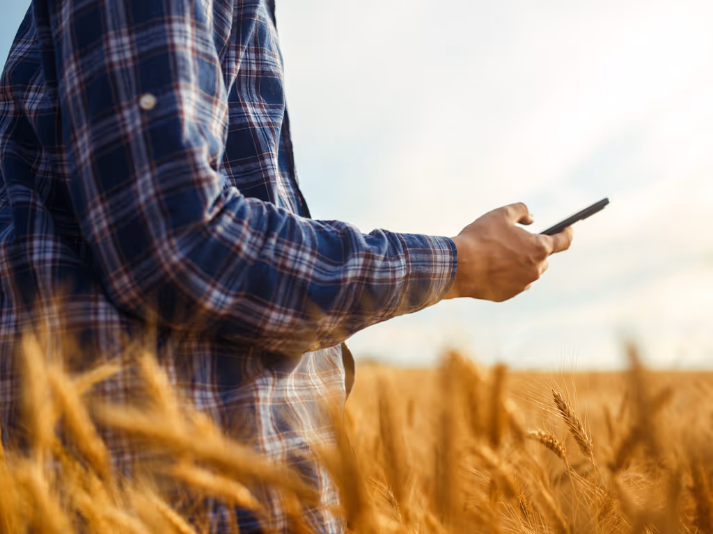 Person in a blue plaid shirt using a smartphone while standing in a golden wheat field.