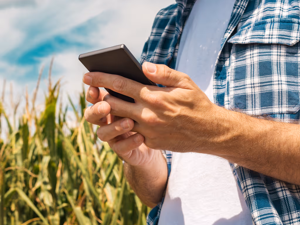 Person wearing a plaid shirt using a smartphone outdoors near tall crops under a partly cloudy sky.
