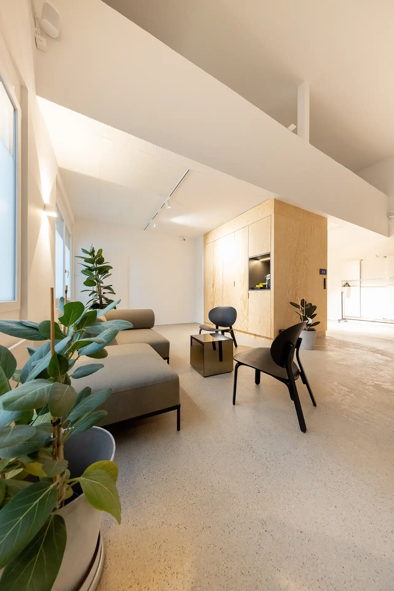 Heller moderner Wohnraum mit grauem Sofa, zwei schwarzen Stühlen, kleinem quadratischem Tisch und mehreren grünen Pflanzen.