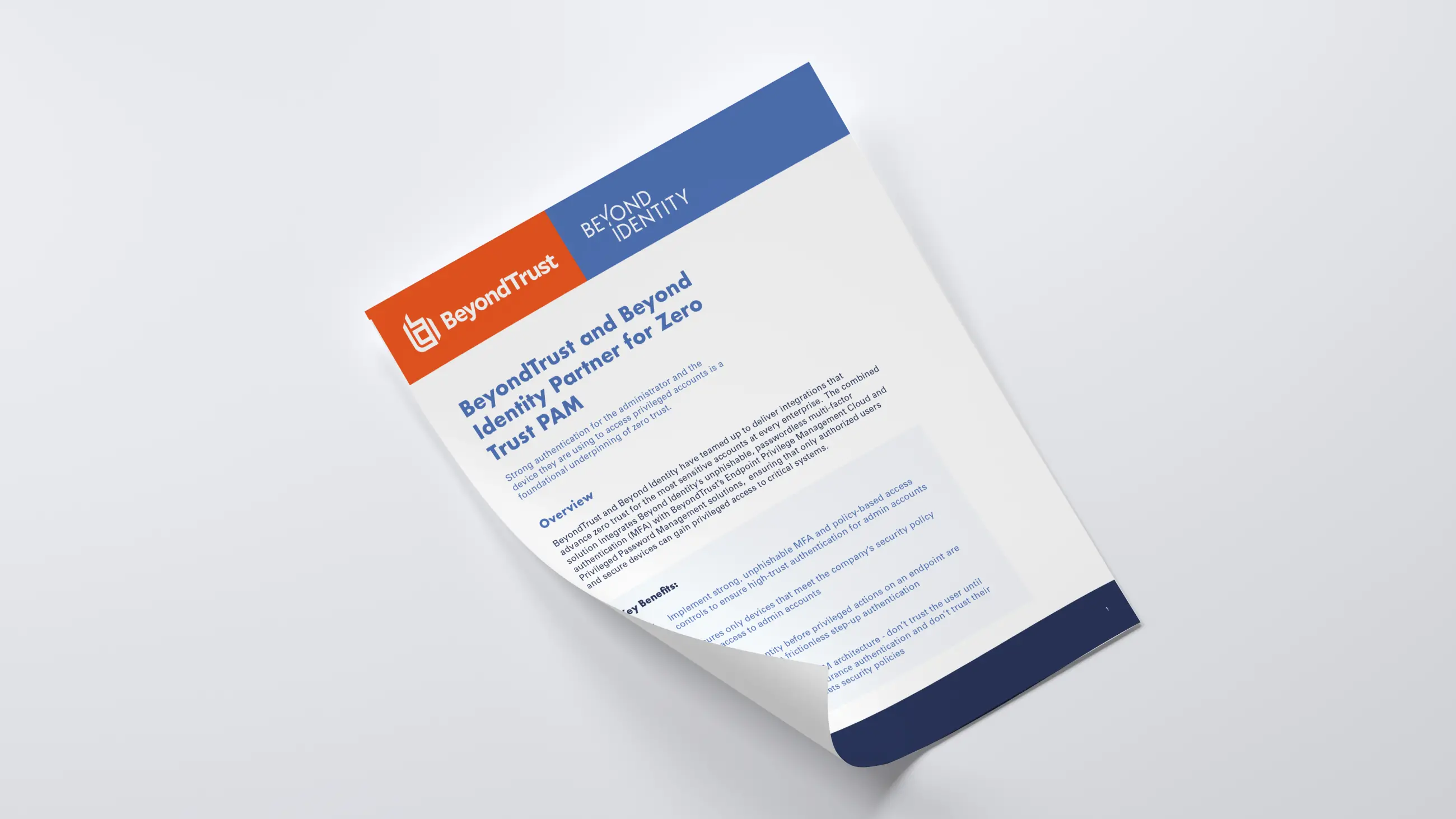 BeyondTrust Solution Brief