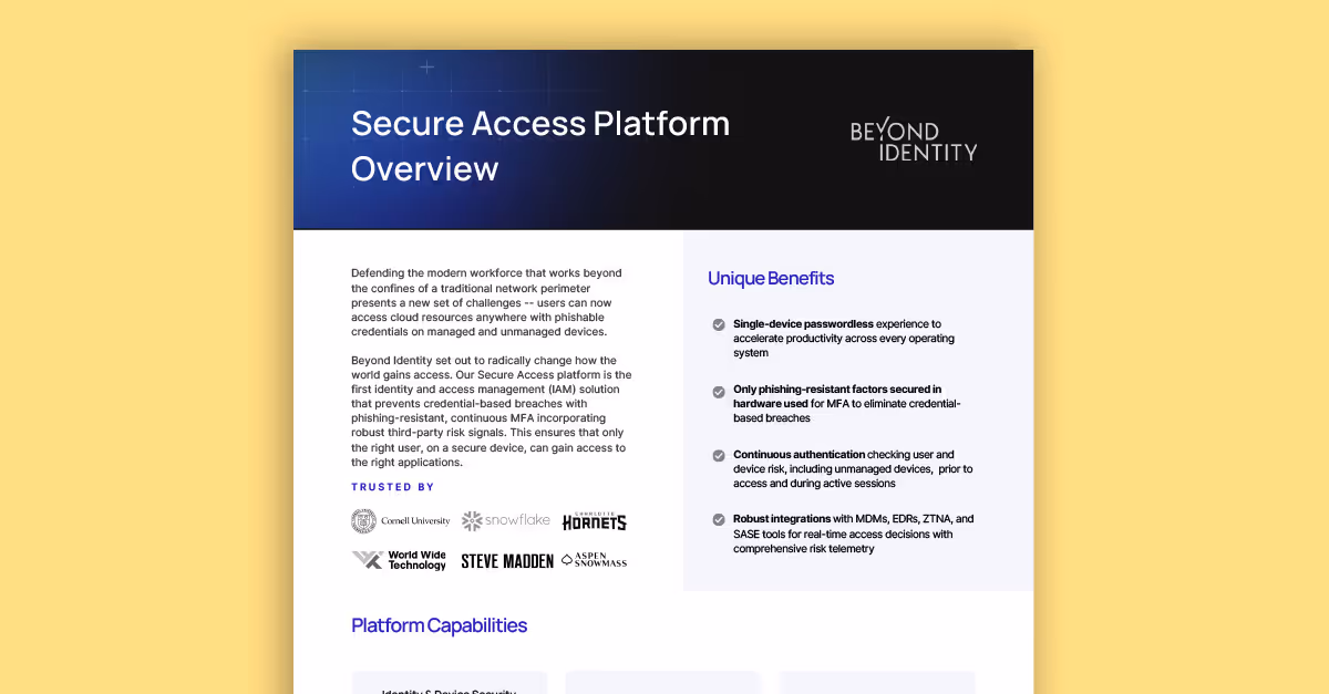 Secure Access Platform Overview