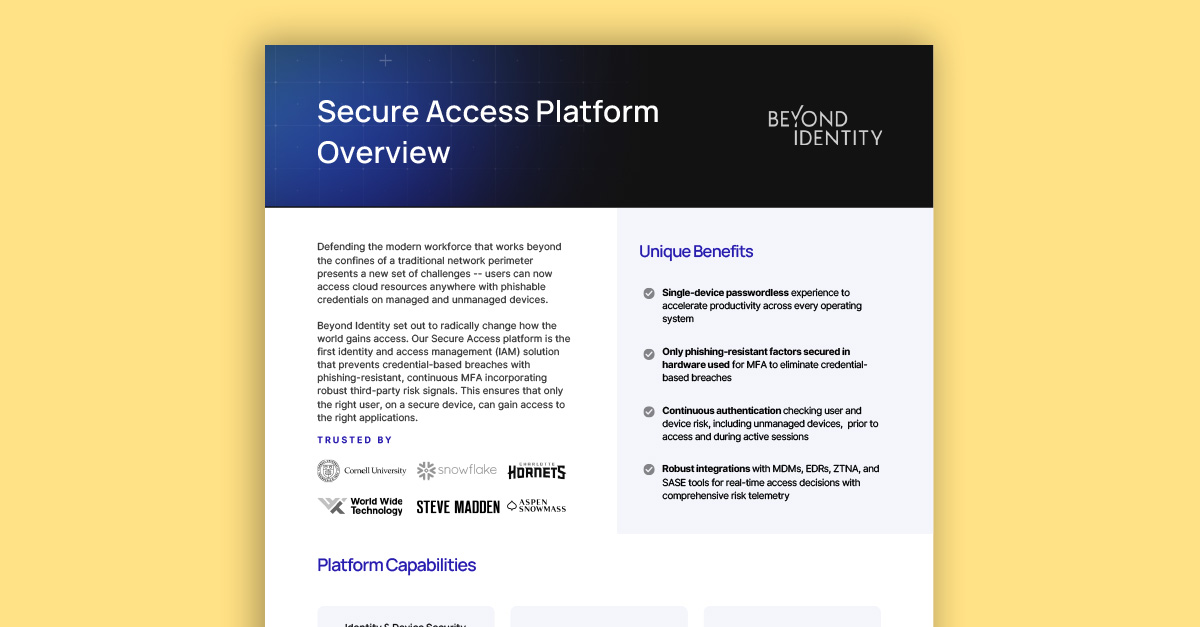 Secure Access Platform Overview