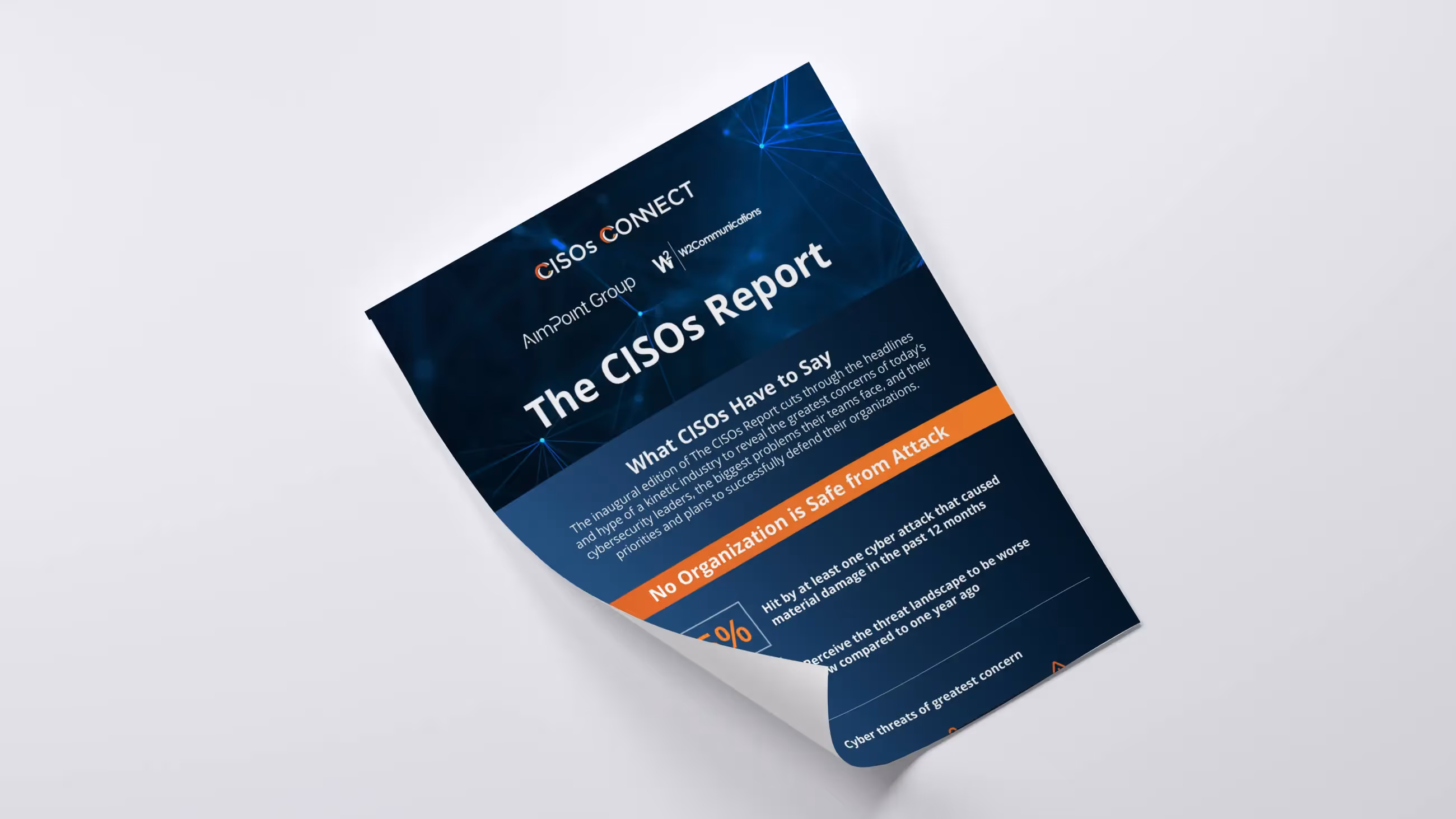 The CISOs Report: Infographic
