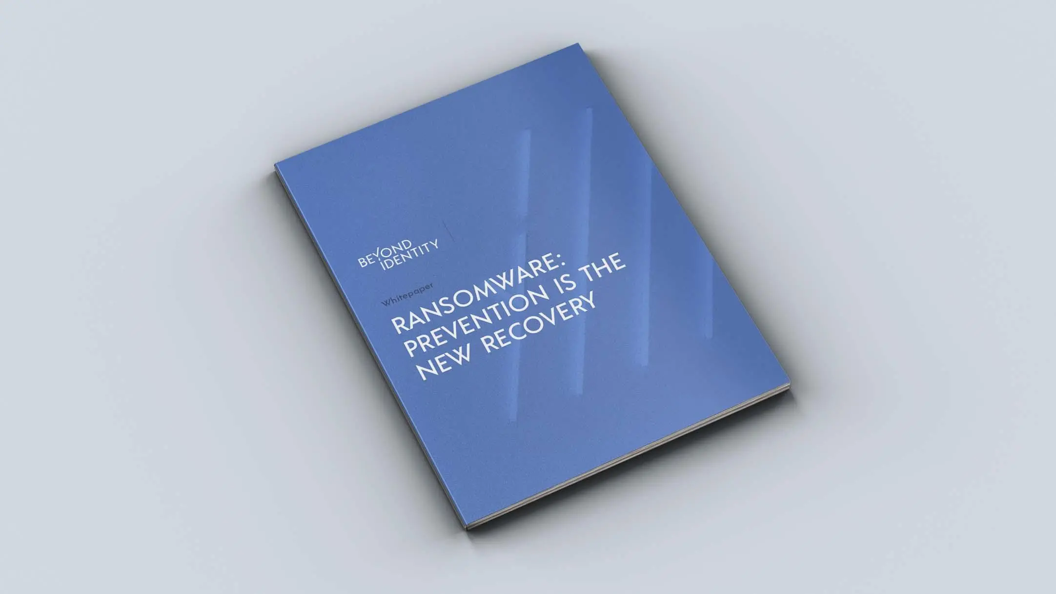 Ransomware: Prevention is the New Recovery