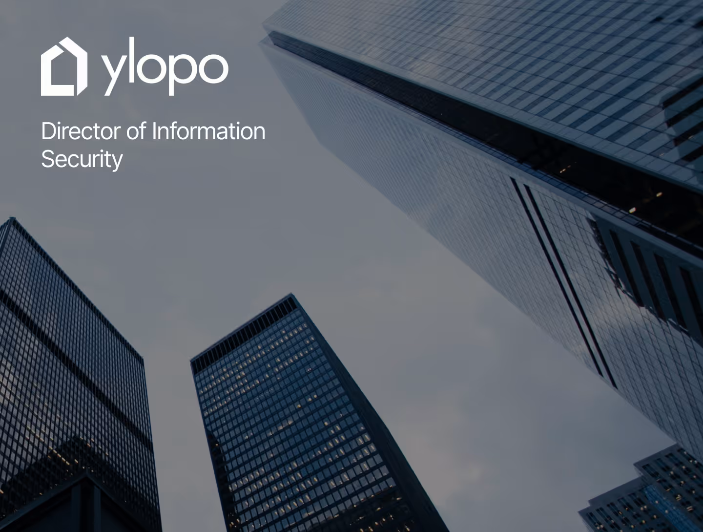 Ylopo Case Study