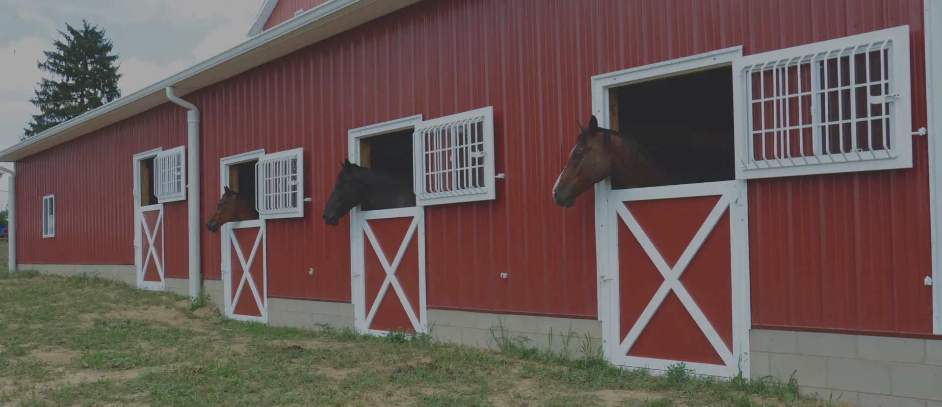 dutch doors and windows with horse heads sticking out