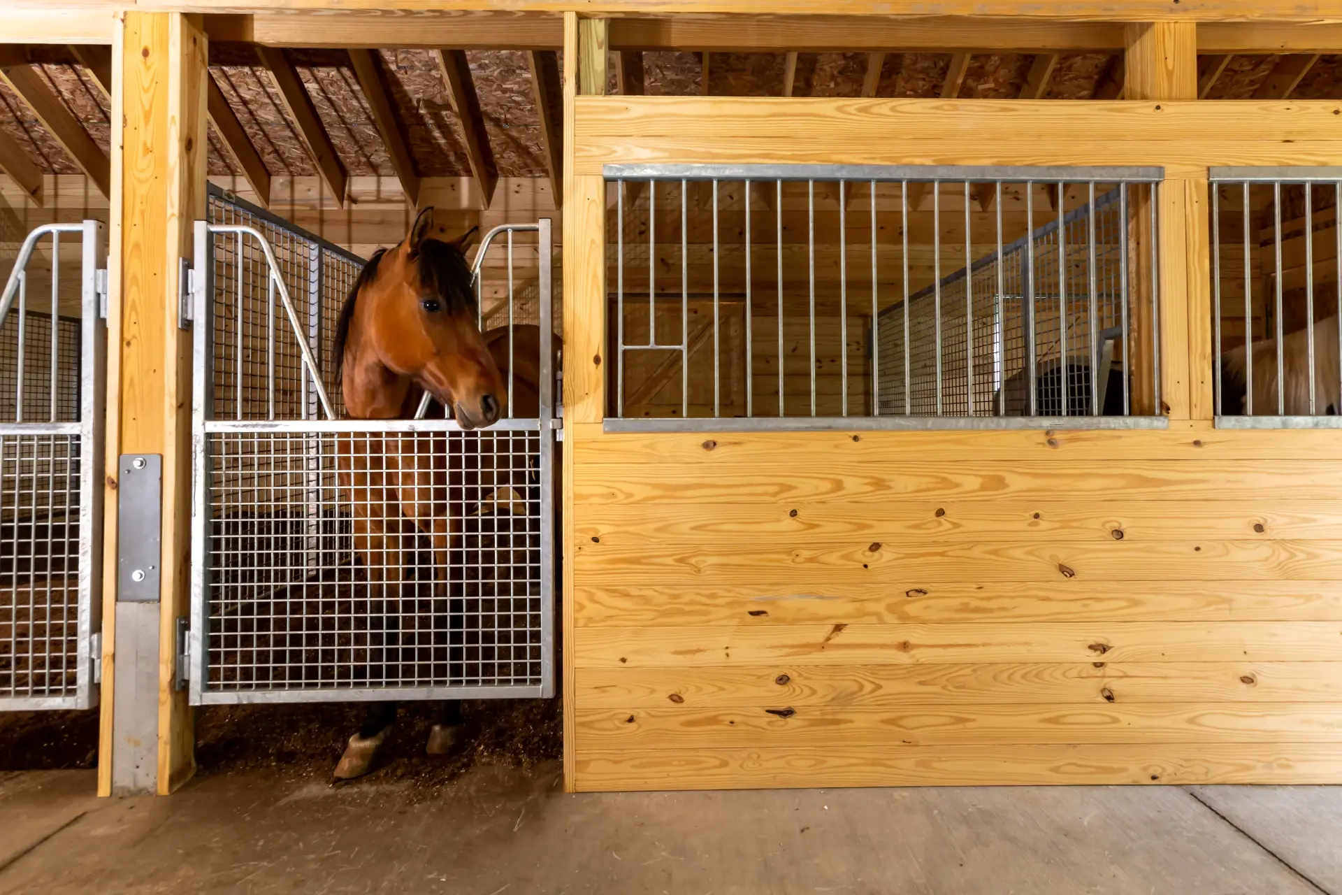 des eck welding rod stall with horse in stall