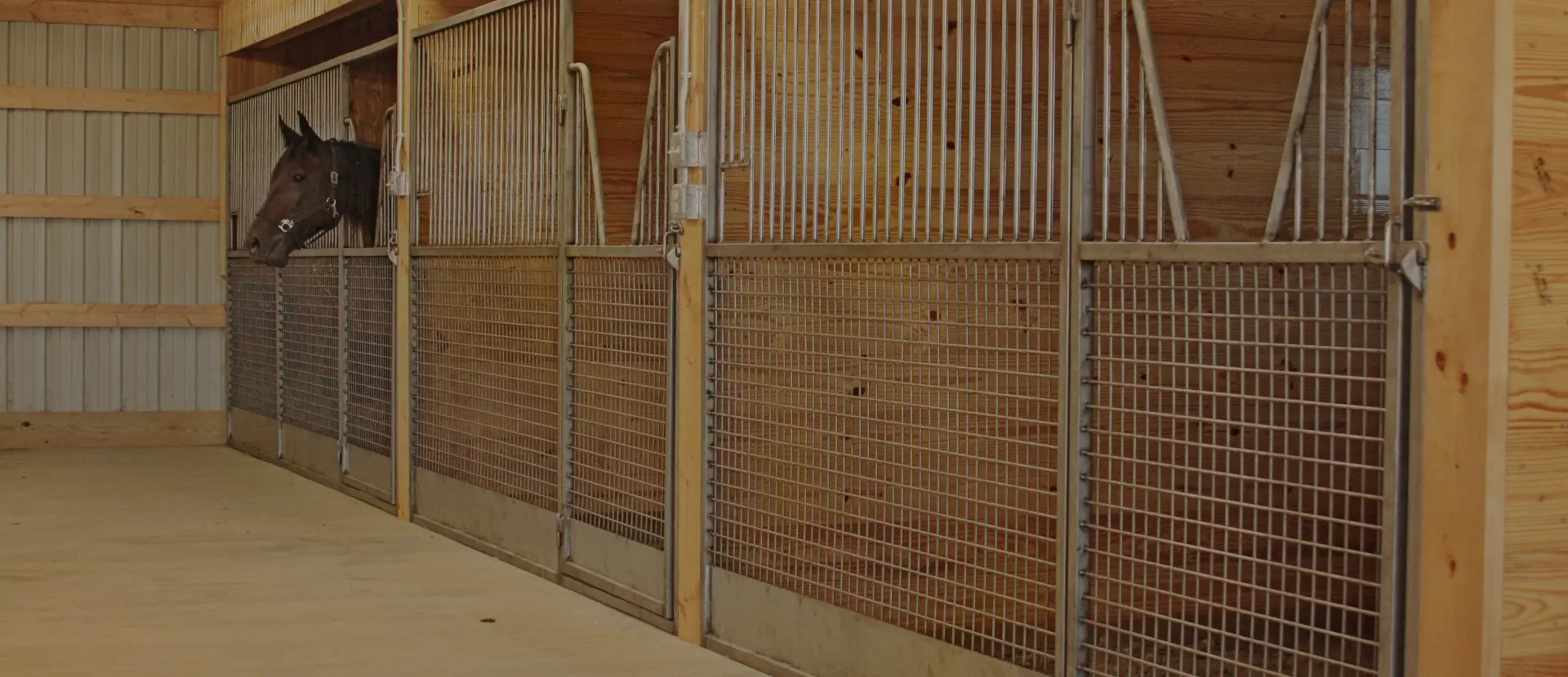 horses in horse stalls by des eck welding