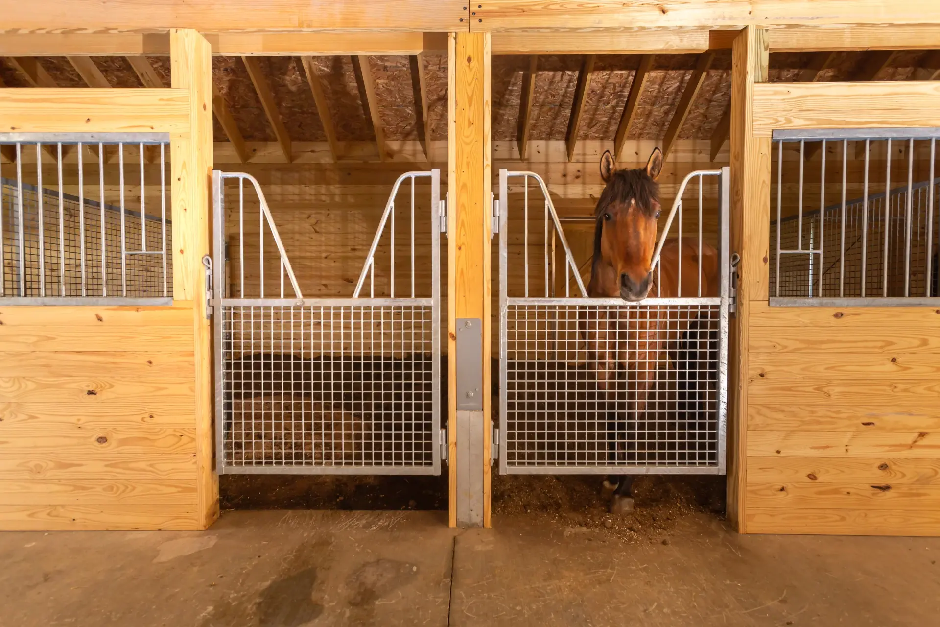 des eck welding mesh stall front horse in right stall
