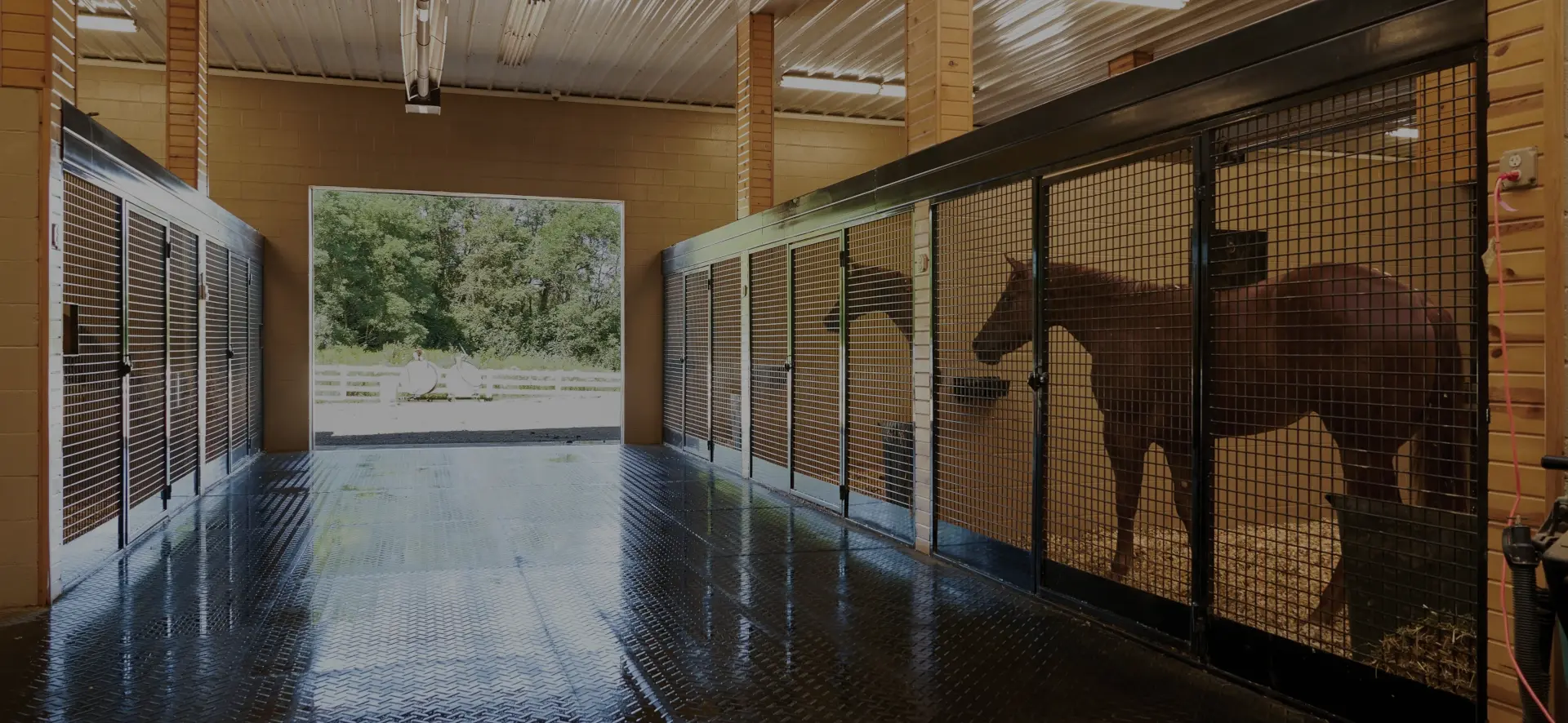 mesh stall front with horses behind gates