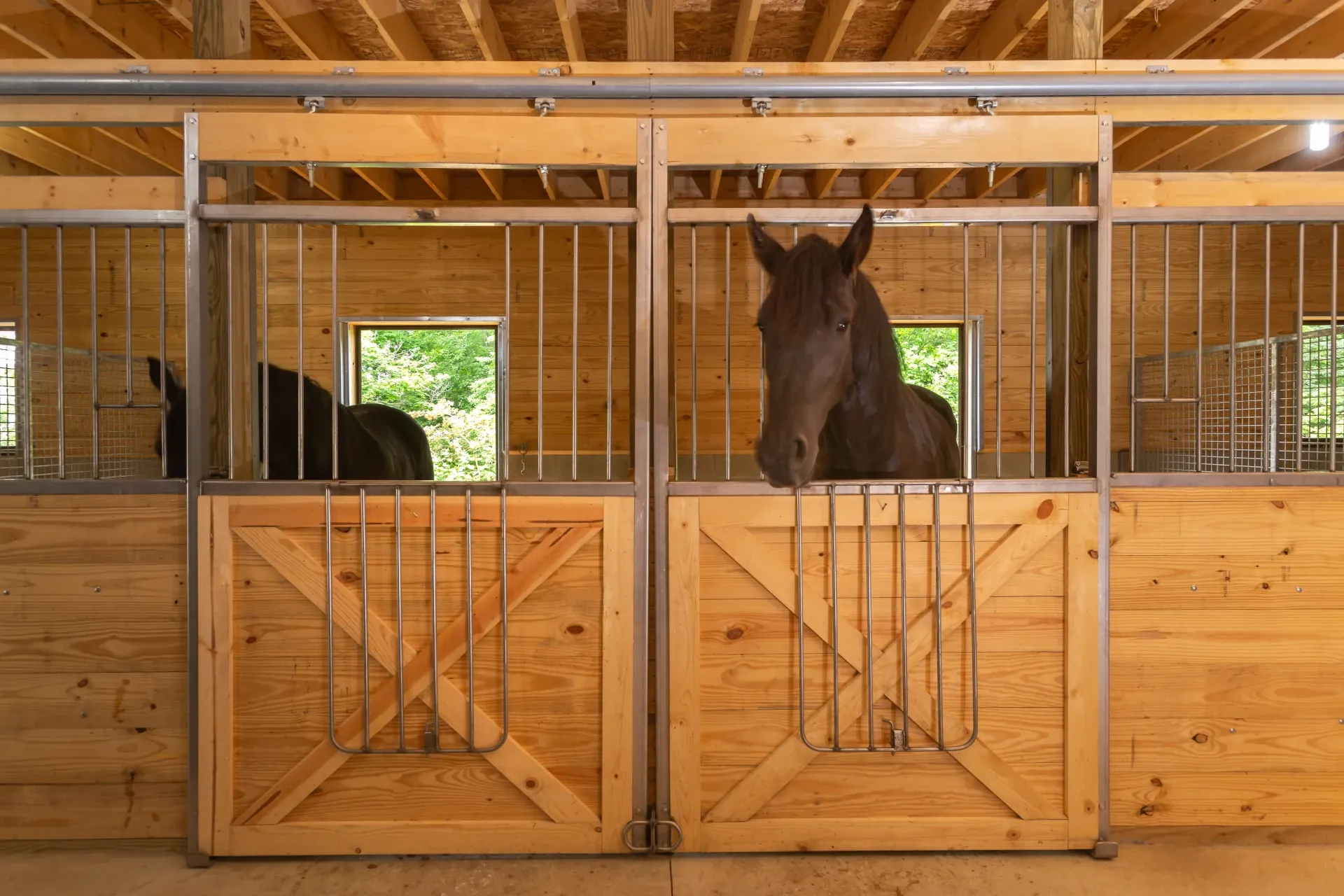 des eck rod stall front horse access door open