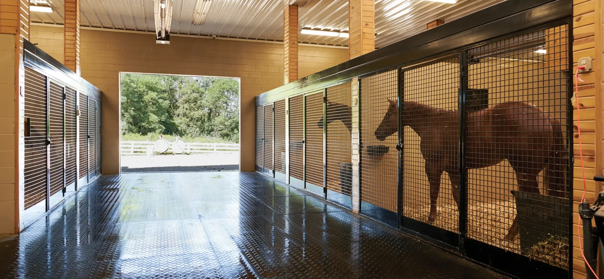 mesh stall front with horses behind gates no overlay