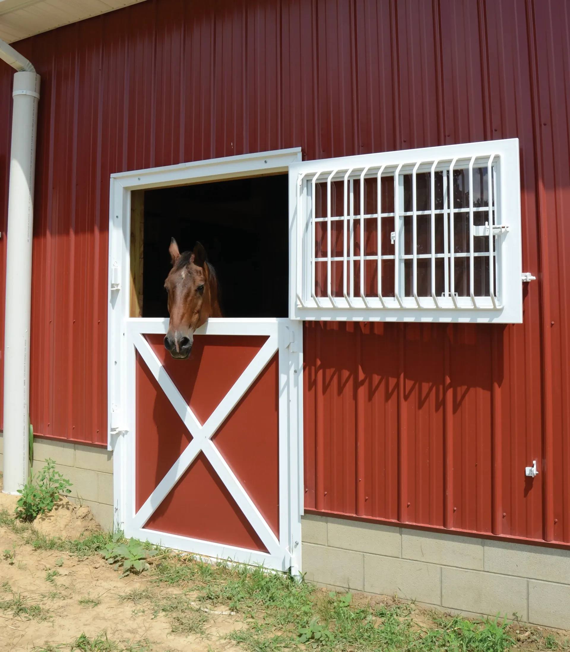 horse head poking out of open dutch door window