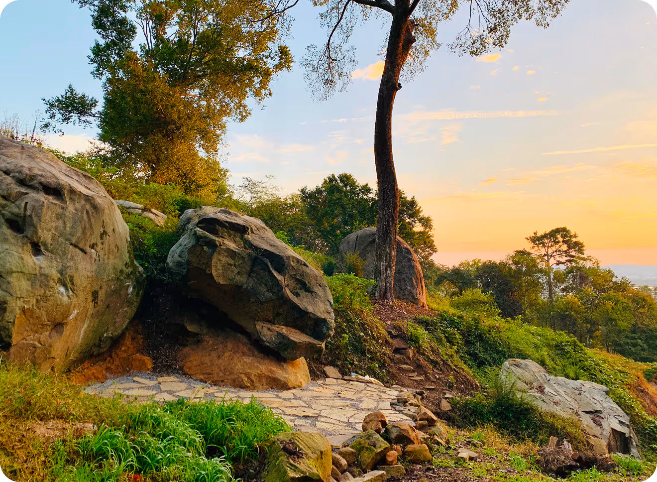 Lookout Mountain Conservancy Scenic View.