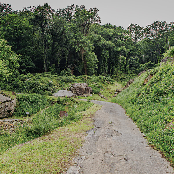 A scenic photo of the boulder field at Wauhautchie
