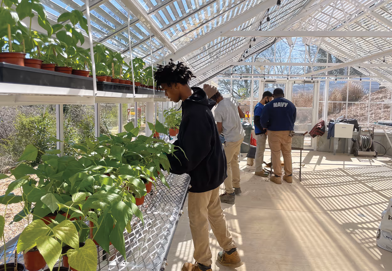 Howard School Interns work in the greenhouse