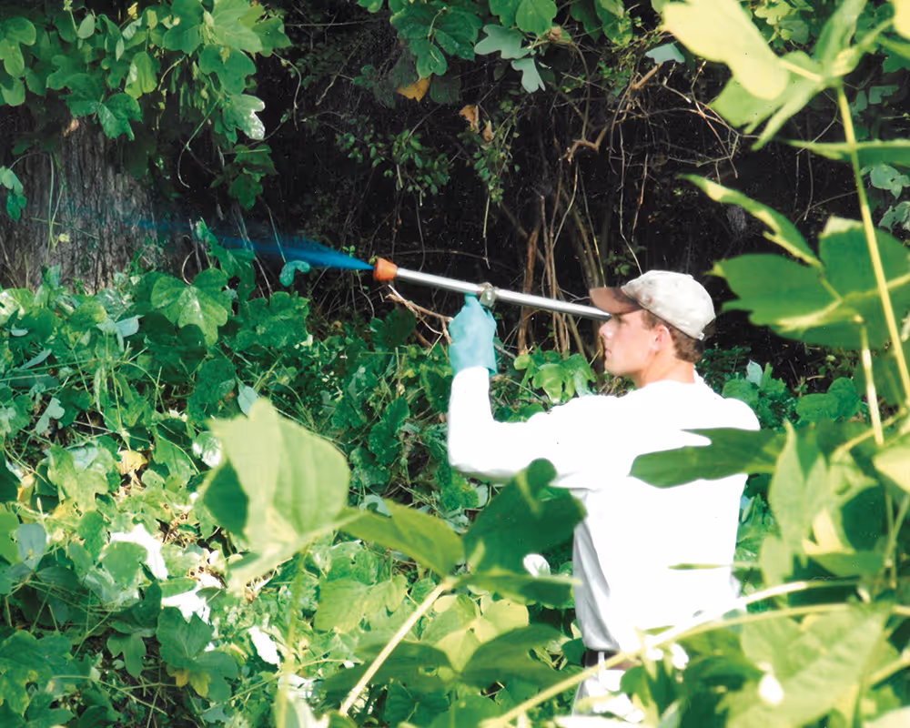 Clearing brush at LMC

