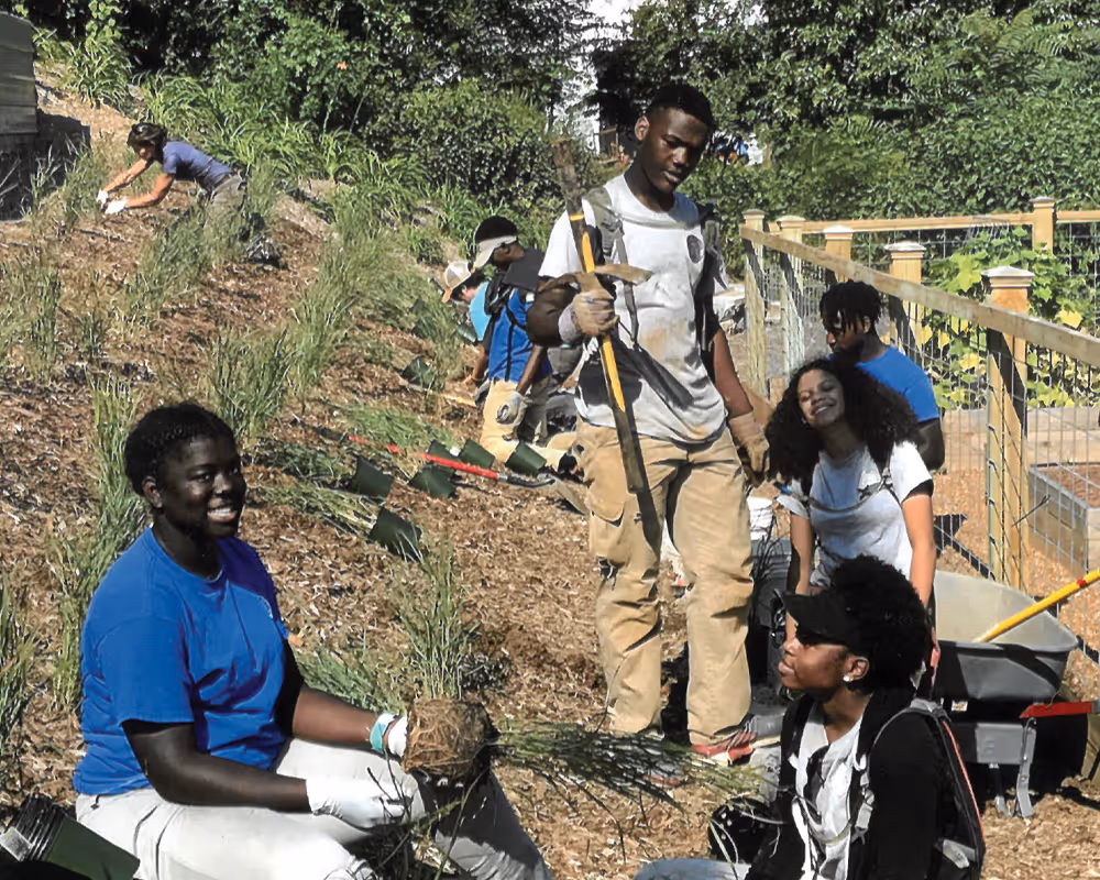 Interns working at LMC