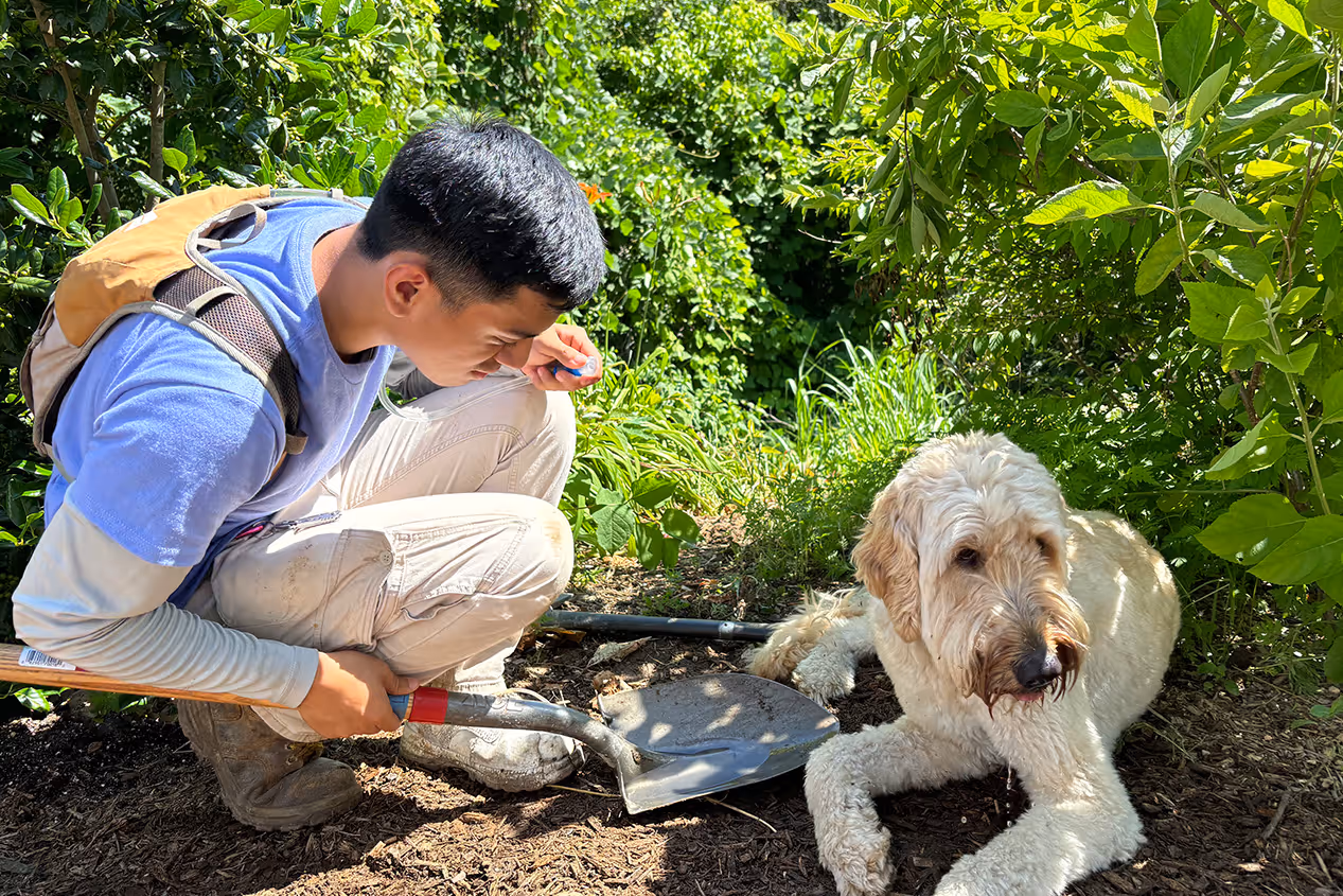 Grandview Trail Trailhead