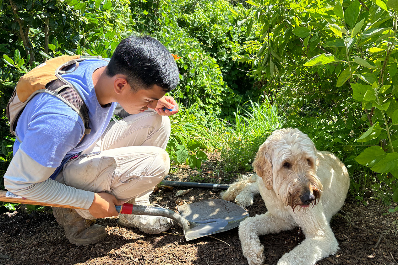 Grandview Trail Trailhead