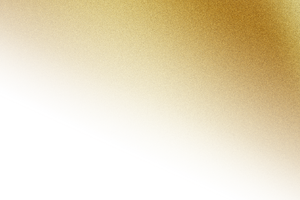 Company Logo Item Shadow