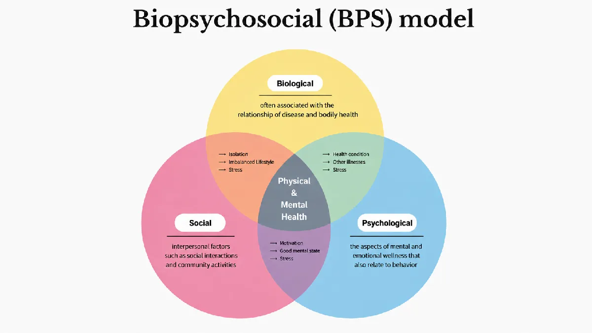 Venn diagram of biological, psychological and social factors in the workplace rehabilitation model