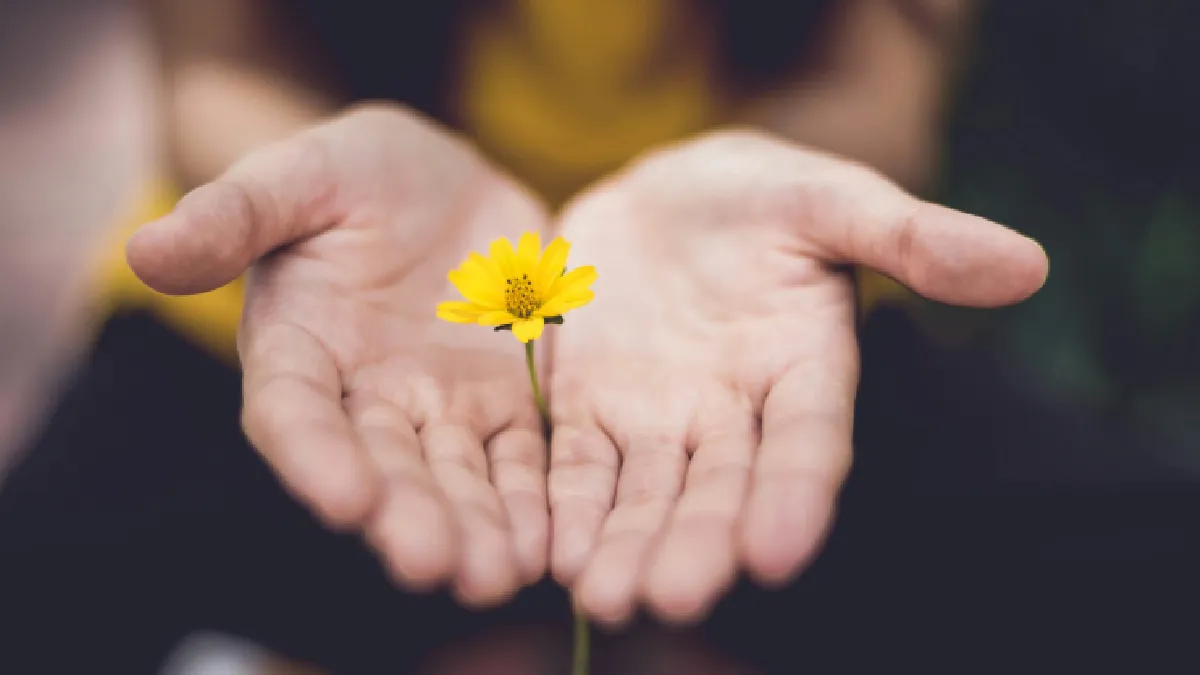 Hands holding a yellow flower, symbolising employee wellbeing platforms for UK remote and hybrid teams