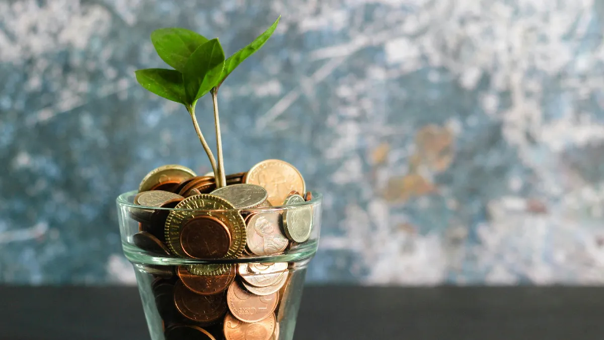 Coins and a growing plant illustrating the reality of balancing money in and money out