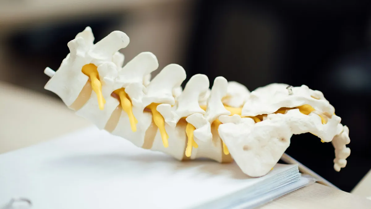 Anatomical spine model representing back pain hidden from workplace productivity numbers