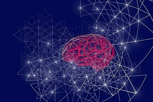 Supervised vs. Unsupervised Learning: Key Differences