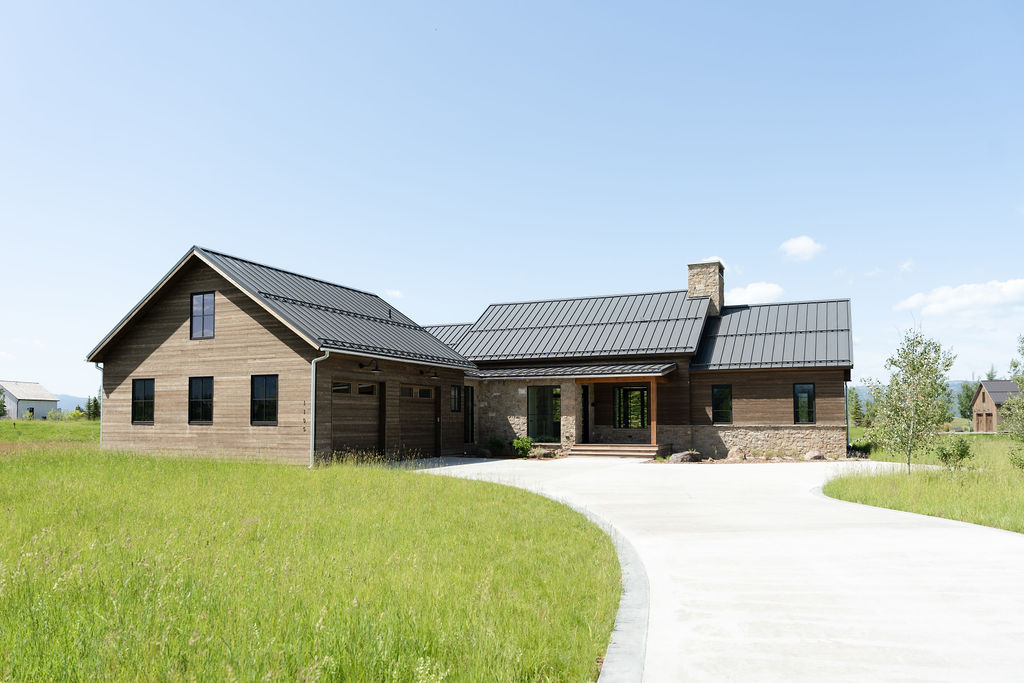 Shasta Daisy - Tributary