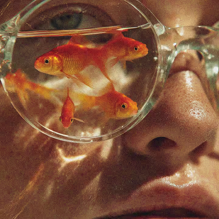 Nahaufnahme eines Gesichts mit reflektierenden Goldfischen in einer runden Brillenglaslinse.
